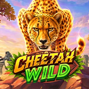 Cheetah Wild – slot